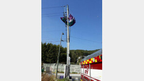 용인서 패러글라이딩 타던 60대 전신주에 걸려