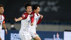 조영욱의 천금 같은 결승골… 서울, 천신만고 끝 K리그1 잔류 확정