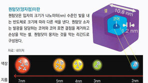 최대 효율 ‘청색광 퀀텀닷’ 개발… QLED 디스플레이 난제 풀었다