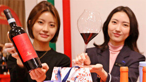 코로나 장기화에 앞 안보이는 항공업계, 기내용 카트까지 ‘와인바’ 만들어 팔아