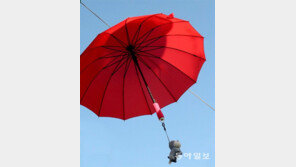 하늘을 달리다[고양이 눈]