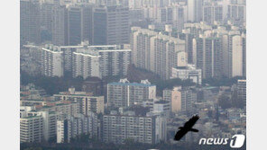 주변 시세보다 저렴한 2억대 전세? 허위매물 판치는 중고플랫폼