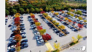 전국이 빨갛게 물든 단풍놀이…맨얼굴 등산에 코로나 방역도 빨간불