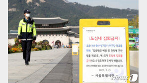 50~100명서 등락 반복하는 수도권 확진…잠복감염 위험 여전