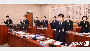 “라임 野정치인 의혹, 남부지검장이 5월 윤총장 대면보고”