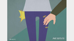 “나 머니 마나요”…‘여고생 성추행’ 에이즈 걸린 인도 남성 집행유예