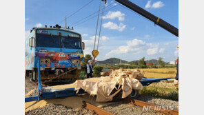 경주, 무궁화호 열차와 곡물 트레일러 충돌…2명 경상