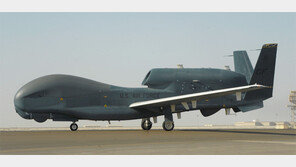 [단독]쉬쉬하며 들여온 글로벌호크, 이름도 안 지어줘