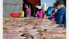 “말린 생선 사세요”