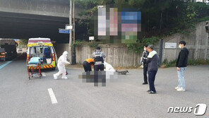 전동 킥보드 타고 출근하던 50대, 포클레인에 치여 사망