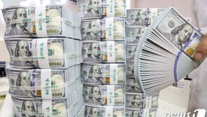 달러/원 환율 장중 1140원선 무너져…1년6개월만