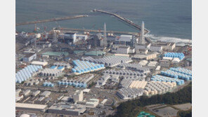 군사활동 보폭 넓히는 일본…中 견제 의도라지만 속내는?