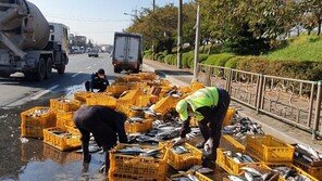 달리던 탑차에서 고등어 2.5톤 100박스 ‘와르르’…차량정체 2시간
