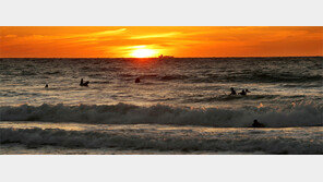 “서핑 낙원 ‘만리포니아’를 해양레저 메카로”