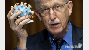 美보건원장 “코로나TF 한동안 트럼프 못 만나…비전문가 조언 듣는 듯”