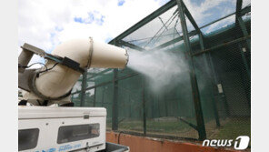 우리나라 찾은 겨울철새 57만마리…조류독감 방역 강화