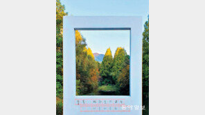 가을 액자[고양이 눈]