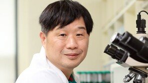 서민 “대깨문들, 원균-허균 구분 못해…웃음 나오네”