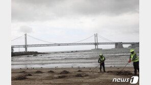 광안리 바다 뛰어든 20대 여성 인근 지나던 군인이 구조