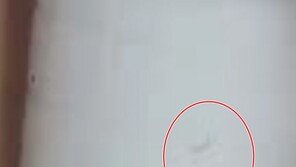 제주 수돗물 유충은 ‘깔따구류 유충’…“구체적 종류 확인 중”