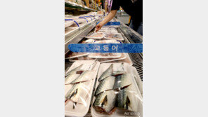 고등어, 비싼 이유 있었네…산지서 1781원, 마트선 7815원