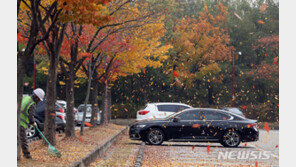 [날씨]23일 서리 내리는 절기 ‘상강’…초겨울 날씨에 첫눈도