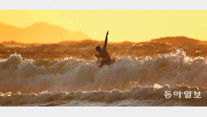 “외국 영상 구해 롱보드 배웠는데… 후배들 급성장 뿌듯”