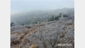 지리산 첫 상고대, 지난해보다 20일 빨라
