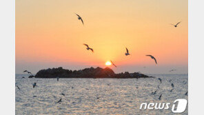 “일제 명칭 바꾸자”…경주시 양북면→문무대왕면 명칭 변경 추진