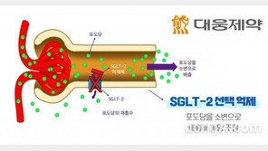 국내 첫 식약처 패스트트랙 의약품… 대웅제약, 당뇨병 신약 ‘신속심사대상’ 지정