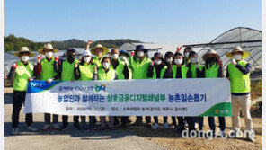 농협 상호금융, 농촌일손돕기 실시