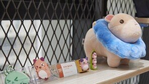 넥슨 게임 팬들의 축제… 역대 첫 온라인 ‘네코제’ 열린다