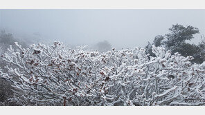 바람 불어 추운 주말… 24일 대관령 영하로 뚝