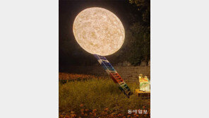 보름달의 소원[고양이 눈]