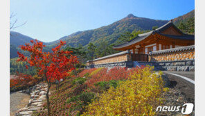 가을 행락철에 전국 고속도로 ‘혼잡’ 전망…차량 508만대 이용