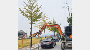 은행 활용한 천연농약 제조법 충주시, 과수농가에 보급