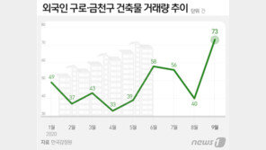 외국인도 ‘패닉바잉’…구로·금천구 건축물 매입 연중 최대