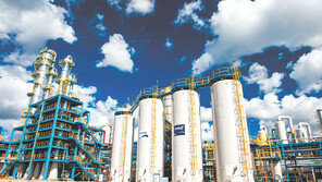 디젤차에 꼭 필요한 요소수, 제대로 고르는 법 따로 있다