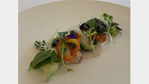 “자연 식재료들의 접시 위 군무”…현대미술과 요리가 만나는 곳
