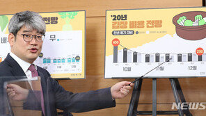 올해 김장 가격 30만원…“늦게 할수록 비용 저렴”