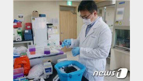 軍이 개발한 코로나19 진단법, 파라과이 공항이 쓴다