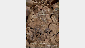 도굴된적 없는 창녕 ‘비화가야 고분’, 금동관 등 장신구 무더기 출토