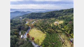 “숲에서 뛰놀며 자연 느껴요”…에버랜드, ‘포레스트 캠프’ 개장