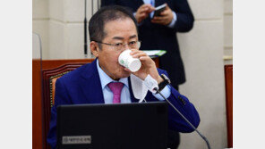 홍준표 “서자가 적장자 몰아내…아! 야당 왜 이래”