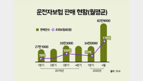 운전자보험 및 실속보장 치아보험 가입조건 모르면 손해…보험비교사이트 활용 높이려면