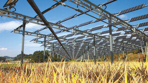 한화큐셀 ‘태양광 모듈 탄소 인증제’ 업계 첫 1등급