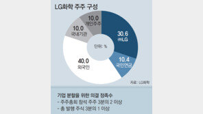암초 만난 LG화학 배터리 분사… 표대결 가나