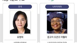 “미국 사실상 거부권 행사, WTO 총장 공석 길어질 수도”