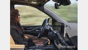 테슬라 ‘오토파일럿’, GM보다 성능 떨어져…현대차 5위