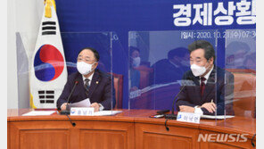 與, 1주택 재산세 완화 기준 6억? 9억?…“지도부 결정만 남아”